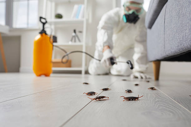 Commercial Kitchen Cockroach Control in Logan Elm Village